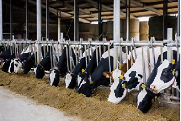 ����O(ji��n)��